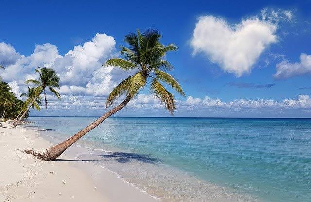full screen background image